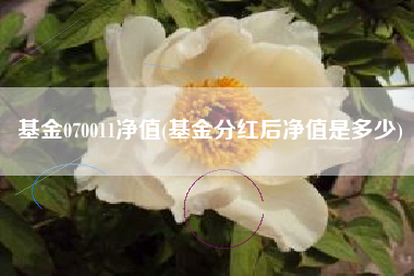 基金070011净值(基金分红后净值是多少)