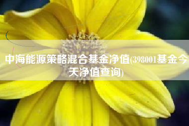 中海能源策略混合基金净值(398001基金今天净值查询)