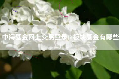 中海基金网上交易登录(it板块基金有哪些)