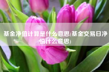基金净值计算是什么意思(基金交易日净值什么意思)