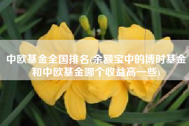 中欧基金全国排名(余额宝中的博时基金和中欧基金哪个收益高一些)
