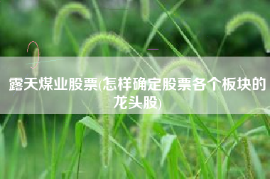 露天煤业股票(怎样确定股票各个板块的龙头股)