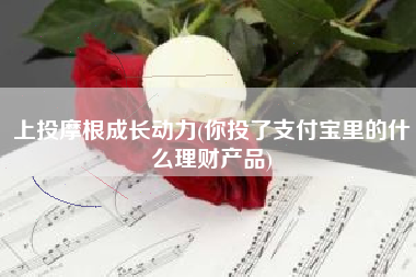 上投摩根成长动力(你投了支付宝里的什么理财产品)