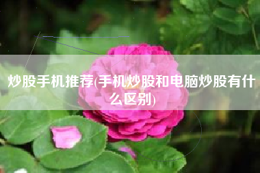 炒股手机推荐(手机炒股和电脑炒股有什么区别)