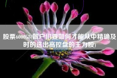 股票600058(散户们要如何才能从中精确及时的选出高控盘的主力股)