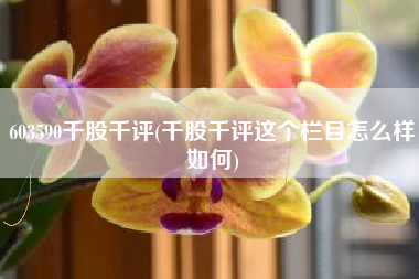 603590千股千评(千股千评这个栏目怎么样如何)