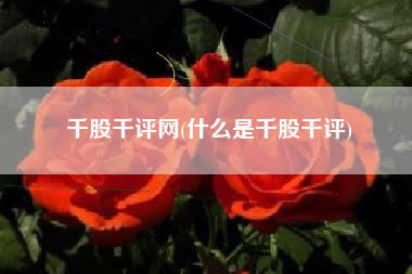 千股千评网(什么是千股千评)