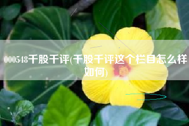 000548千股千评(千股千评这个栏目怎么样如何)