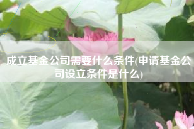 成立基金公司需要什么条件(申请基金公司设立条件是什么)
