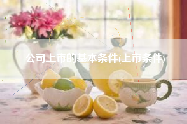 公司上市的基本条件(上市条件)