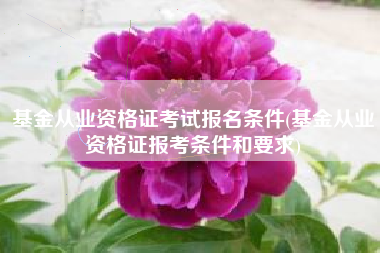 基金从业资格证考试报名条件(基金从业资格证报考条件和要求)