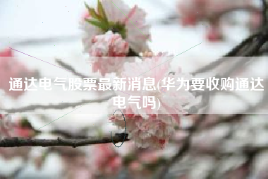通达电气股票最新消息(华为要收购通达电气吗)