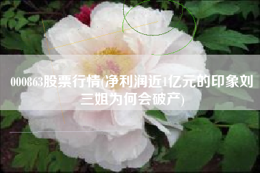 000863股票行情(净利润近1亿元的印象刘三姐为何会破产)