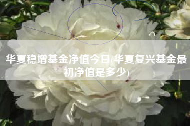华夏稳增基金净值今日(华夏复兴基金最初净值是多少)