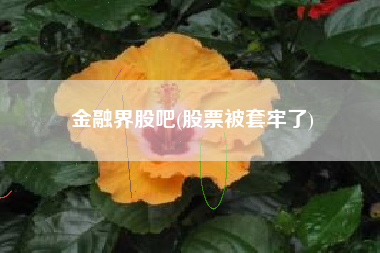 金融界股吧(股票被套牢了)