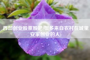 西部创业股票股吧(很多来自农村在城里安家创业的人)