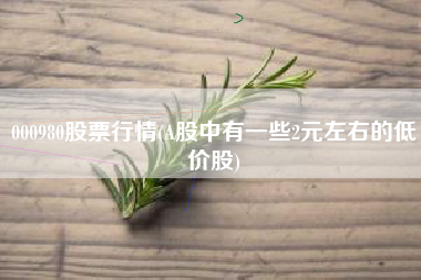 000980股票行情(A股中有一些2元左右的低价股)