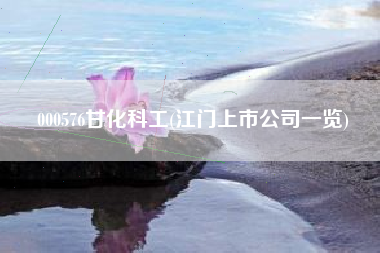 000576甘化科工(江门上市公司一览)