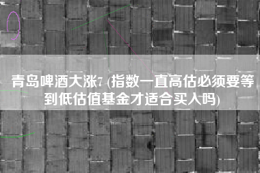 青岛啤酒大涨7 (指数一直高估必须要等到低估值基金才适合买入吗)