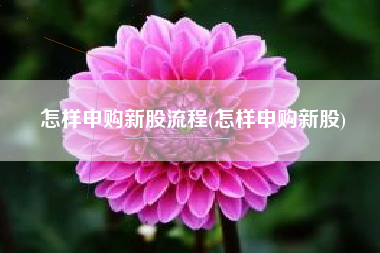 怎样申购新股流程(怎样申购新股)