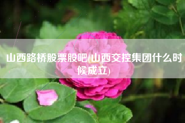 山西路桥股票股吧(山西交控集团什么时候成立)