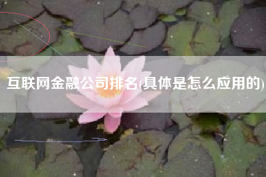互联网金融公司排名(具体是怎么应用的)