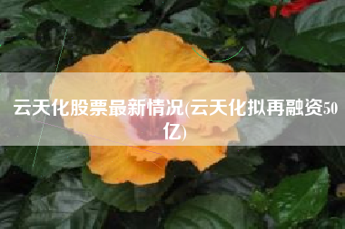 云天化股票最新情况(云天化拟再融资50亿)