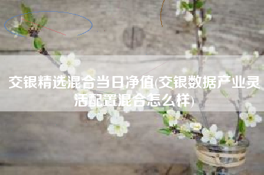 交银精选混合当日净值(交银数据产业灵活配置混合怎么样)