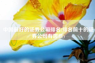 中国最好的证券公司排名(排名前十的证券公司有哪些)