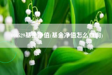 006529基金净值(基金净值怎么查询)