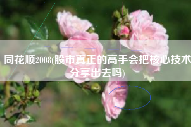 同花顺2008(股市真正的高手会把核心技术分享出去吗)