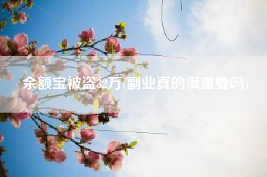 余额宝被盗32万(副业真的很重要吗)