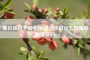鲁抗医药千股千评(济宁华联什么时候开始建设的)