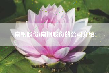 南钢股份(南钢股份的公司介绍)