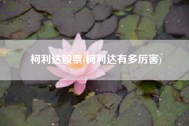 柯利达股票(柯利达有多厉害)