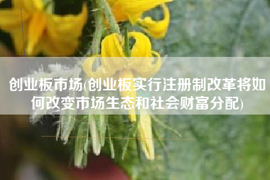 创业板市场(创业板实行注册制改革将如何改变市场生态和社会财富分配)