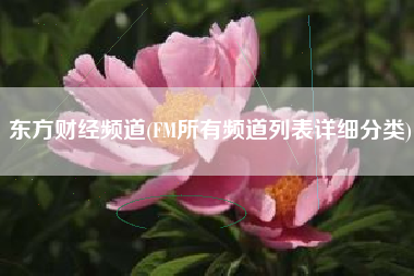 东方财经频道(FM所有频道列表详细分类)