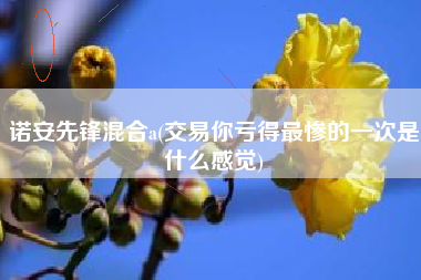 诺安先锋混合a(交易你亏得最惨的一次是什么感觉)