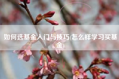 如何选基金入门与技巧(怎么样学习买基金)