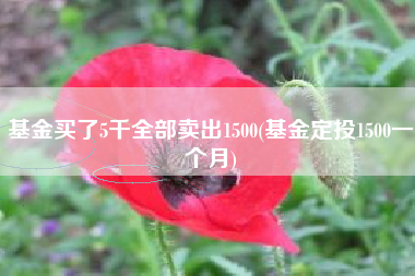 基金买了5千全部卖出1500(基金定投1500一个月)