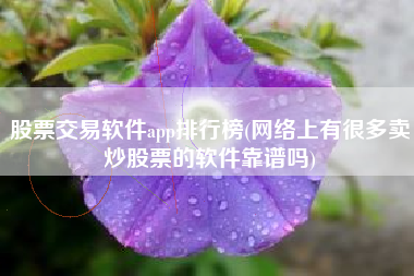 股票交易软件app排行榜(网络上有很多卖炒股票的软件靠谱吗)