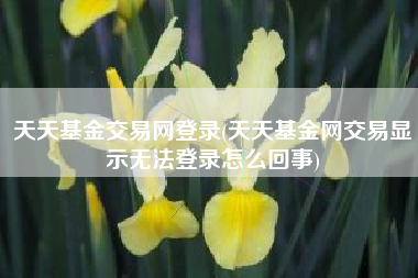 天天基金交易网登录(天天基金网交易显示无法登录怎么回事)
