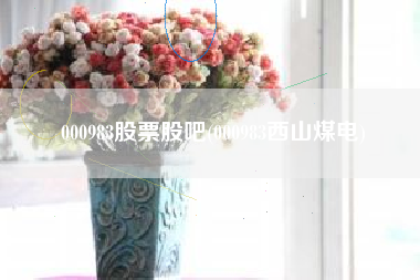 000983股票股吧(000983西山煤电)