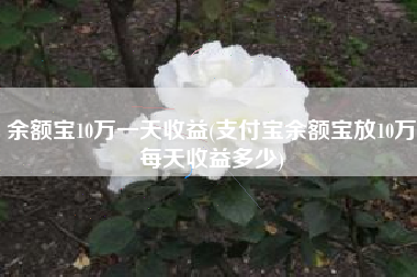 余额宝10万一天收益(支付宝余额宝放10万每天收益多少)