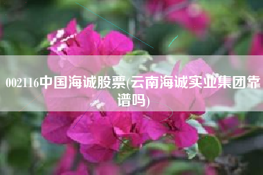 002116中国海诚股票(云南海诚实业集团靠谱吗)