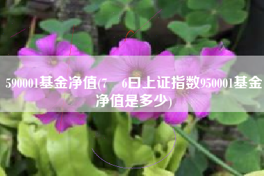 590001基金净值(7冃6曰上证指数950001基金净值是多少)