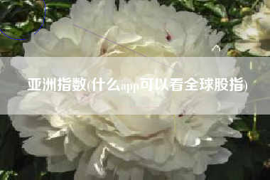 亚洲指数(什么app可以看全球股指)