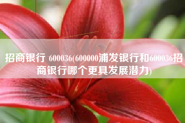招商银行 600036(600000浦发银行和600036招商银行哪个更具发展潜力)