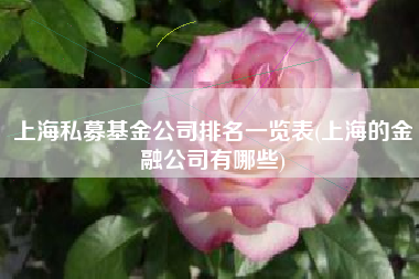 上海私募基金公司排名一览表(上海的金融公司有哪些)