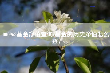 000968基金净值查询(基金的历史净值怎么查)